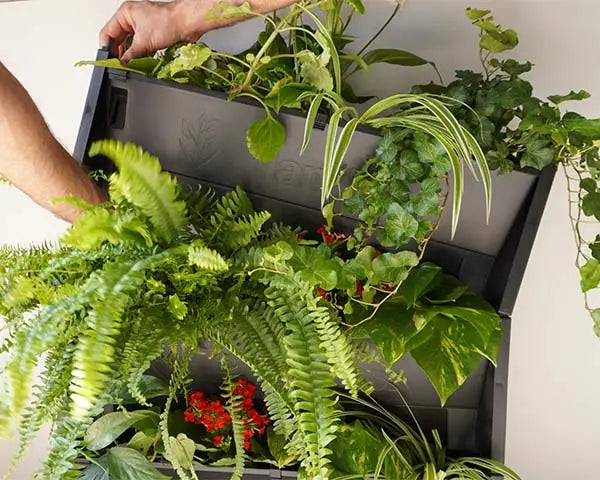 Montaje jardin vertical evertia
