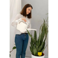 eliminar mosquitos de las plantas de interior