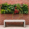 Mur Végétal, Kit de 3, 5 ou 10 Pots
