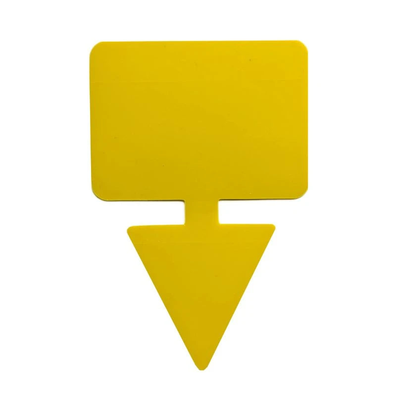 trampas contra mosca sustrato